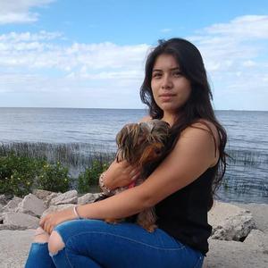 Entretien de maison, ménage, cuisine, repassage, jardinnage, courses à Toulouse.