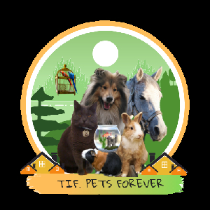 Photo de Tif. Pets Forever