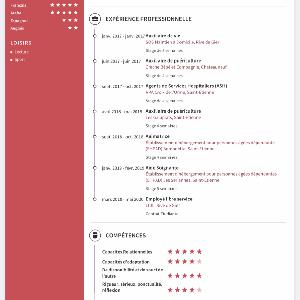 Auxiliaire de vie, aide à domicile