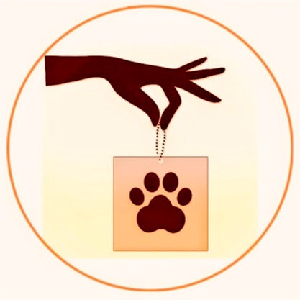 Photo de My Dog Education