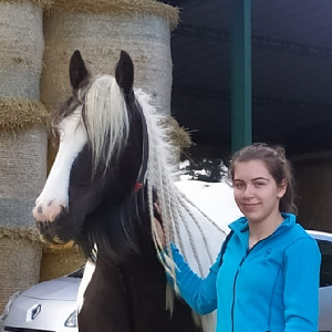 garde d'enfant dans le 95.