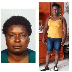 Femme de ménage, Assistante de vie de famille