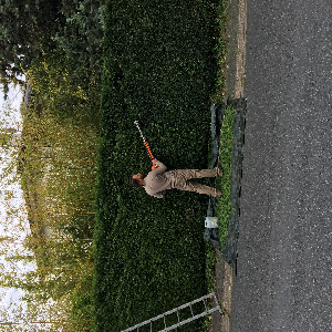 Photo de J.d paysagiste