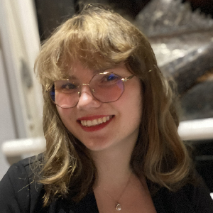 Je propose une aide à la personne, faire les courses, la cuisine tenir compagnie etc..