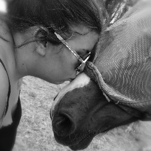 Formation en toiletteur canin