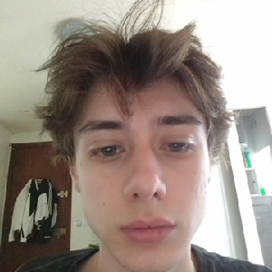 Travail d'été à Grenoble