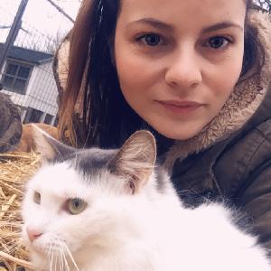 Nounou en Mayenne, ménage, courses, garde d'animaux