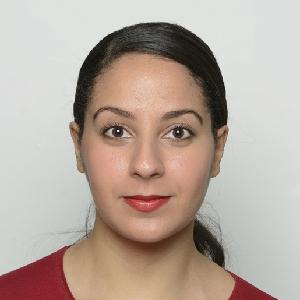 Je propose des aides à la personnes ( ménage, toilette, cuisine, courses, promenades, aide aux déplacements, garde malade, gardes de nuits, autres services particuliers)