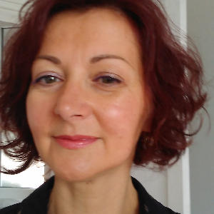 entretient de la maison et repassage