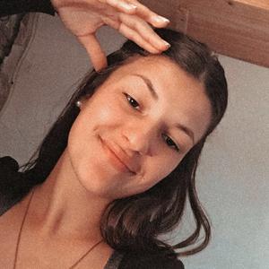 Garde de chiens/promenades