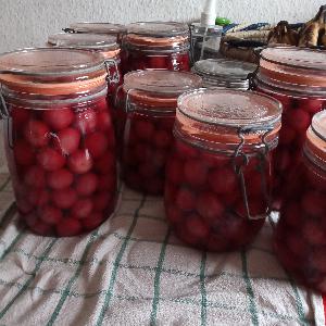 AIDE A LA PERSONNE  /  AIDE MENAGERE