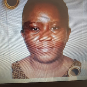 Menage, repassage et quelques tâches de maison à Bazouges la PérouseA