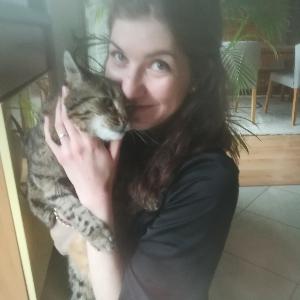 Garde d'animaux proche de Rosteig