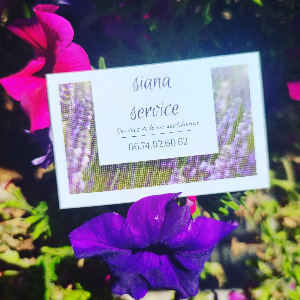 Photo de Siana services