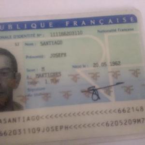 nettoyage maison , repassage , jardinage et bon bricoleur.