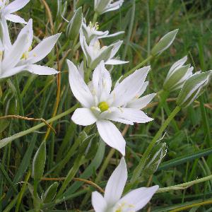 Entretien de la maison et du jardin.