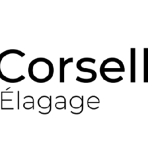 Photo de Corsellis elagage
