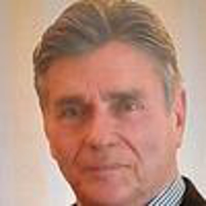 Chauffeur particulier +assistances diverses