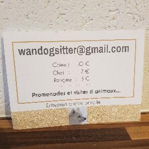 Photo de Wandogsitter