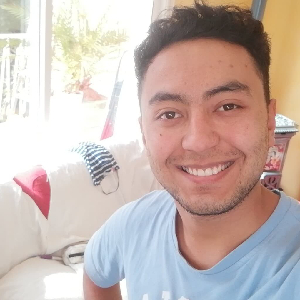 Homme à tout faire (ménage, repassage, jardinage, bricolage, accompagnement à la promenade, courses