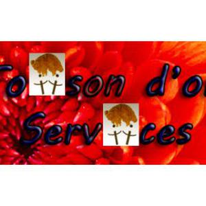 Photo de La toison d'or services