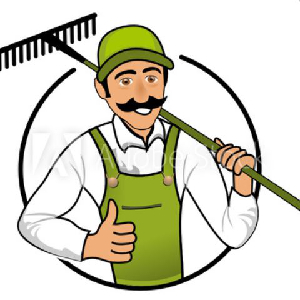 Entretien des espaces verts