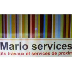 Photo de Mario services