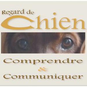 Photo de Regard de chien