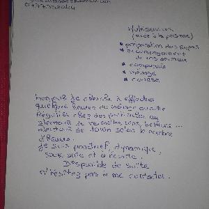 Multiservice (aide au domicile)