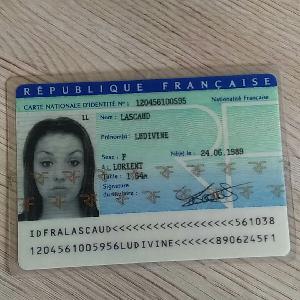 Je propose mes services en tant que aide ménagère afin de vous aider dans votre quotidien pour la vaisselle les courses, les ballades,le dépoussiérage,etc