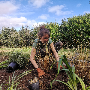 Photo de Kljardin