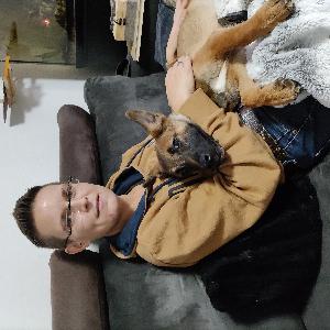 Aide au ménage, repassage, poussière