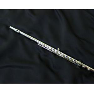 Cours de flûte traversière (classique, irlandaise)