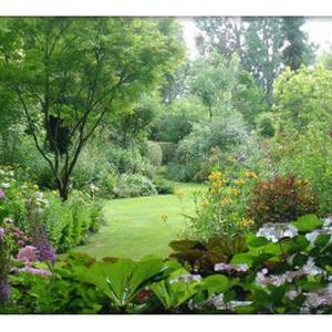 Entretien De Jardin Pour Particulier Petites Annonces En Jardinage A Sannois 95110 Sur Aladom Fr