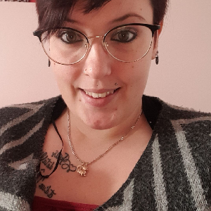 Ménage repassage chez des particuliers sur Nantes et c'est alentours