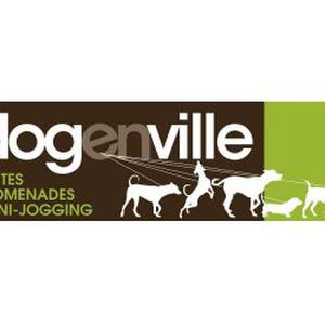 Photo de Dog en Ville