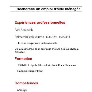 Employé ménage