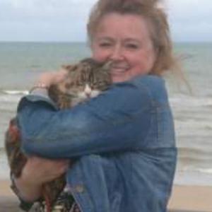 Ménage cuisine courses promenades