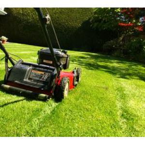 Jardinage à tarifs unique !