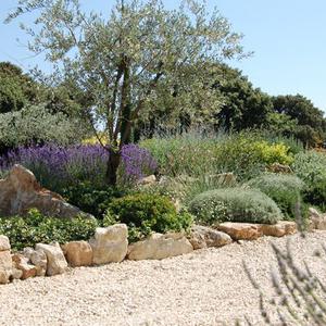 Paysagiste à la ciotat pour l'entretien de votre jardin.