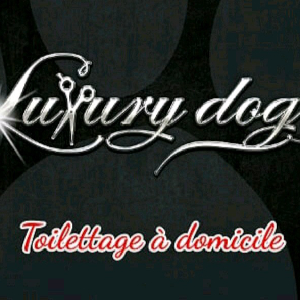Photo de Luxury dog