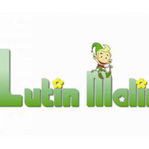 Photo de Lutin Malin 78 - 28