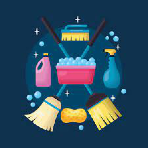 Menage et repassage à domicile